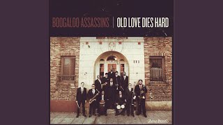 Video thumbnail of "The Boogaloo Assassins - No No No (Radio Edit)"