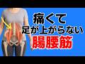 【腸腰筋】トレーニングのコツとポイント｜痛くて足が上がらない人へ #Shorts #サボリ筋 #笹川ひろひで