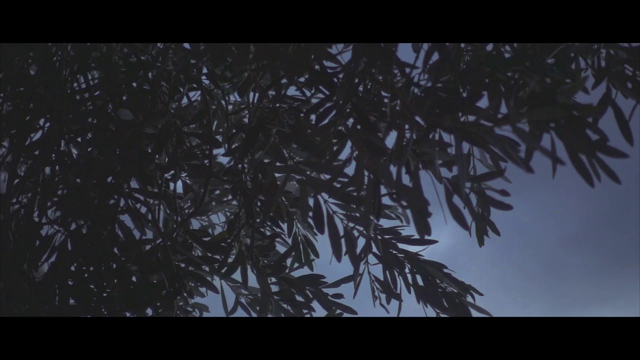 Hior Chronik - Blanket (Feat. Masayoshi Fujita) - Official Video