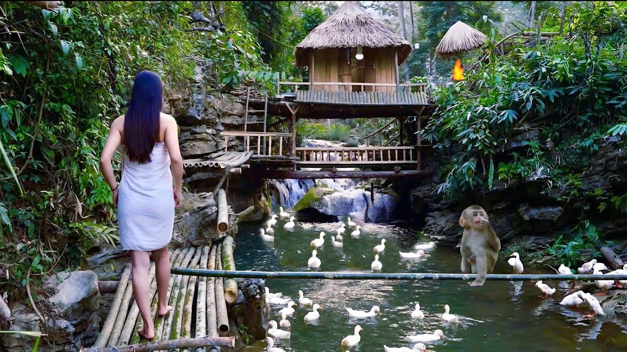 A Girl Survives in the Wild: Building a Bamboo Bridge Along a Cliff to Cross the Stream