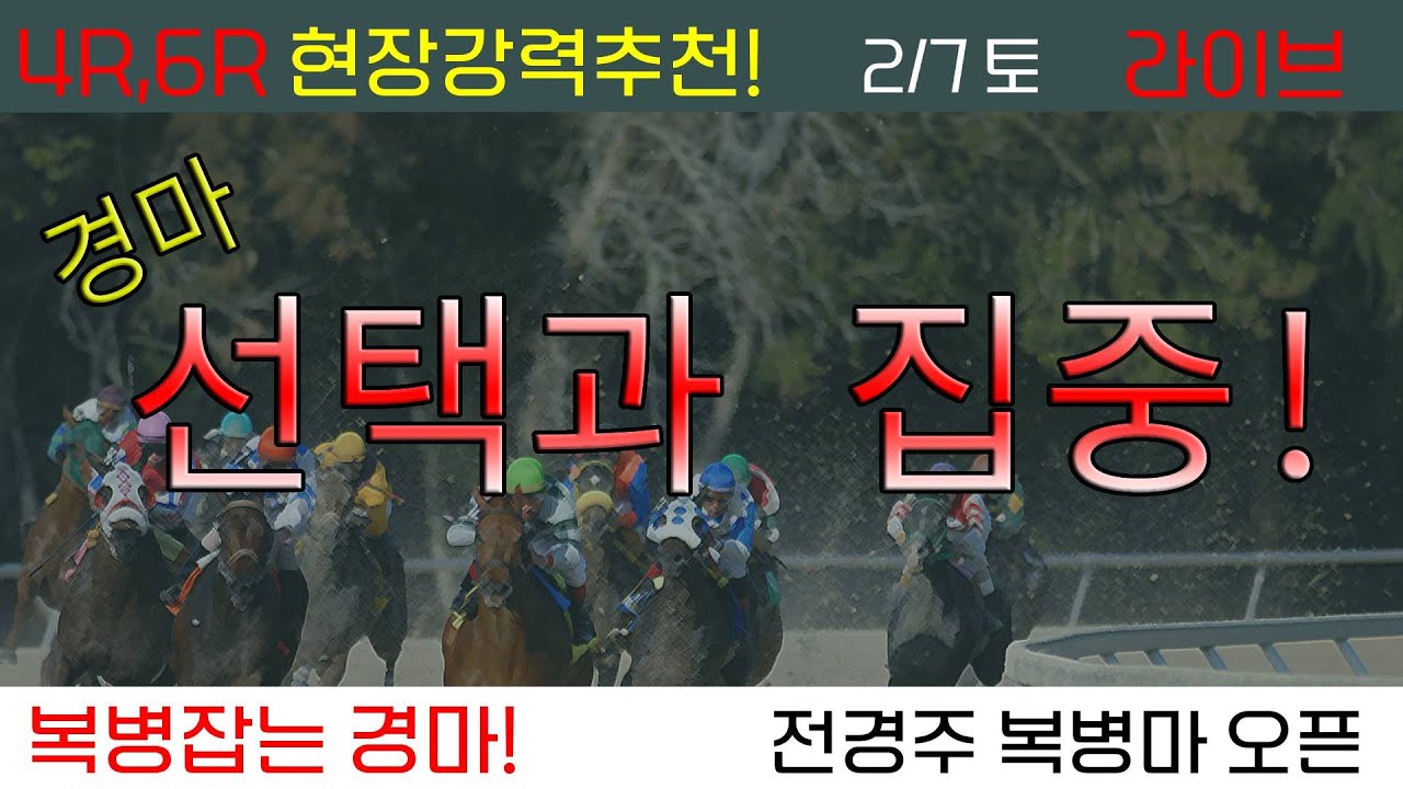 26/2/7(토) 경마 선택과 집중! 4R,6R 현장 추천 긴급편성!