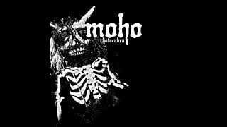 Moho - Chotacabra