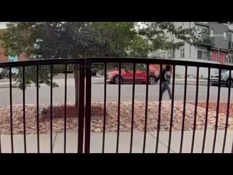 Letter carrier robbed at gunpoint in Denver