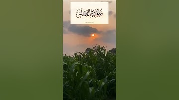 سورة العلق _ تلاوة هادئة ومريحة للقلب / القارئ محمد الفقيه - Mohamed Al faqih