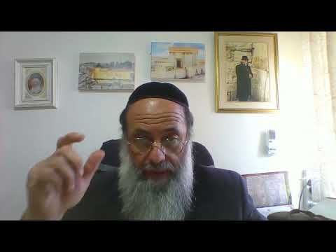 Daf Hayomi Avoda Zara Daf 27 Rav Elie Perez 