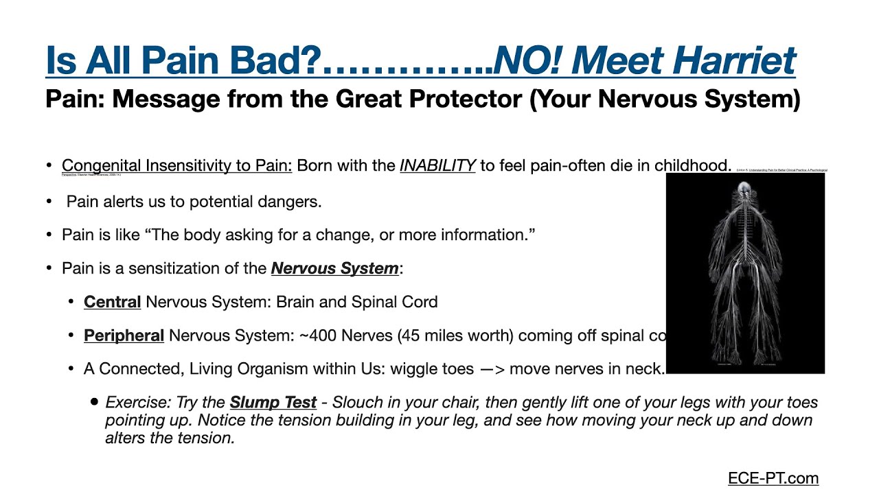 01b - Is All Pain Bad?