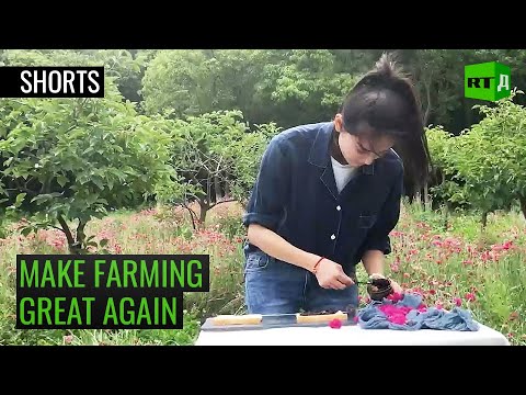 Chinese Artist Finds Inspiration in Farming and Agriculture | RT Documentary