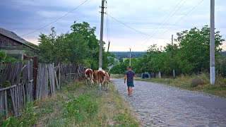 Closer to nature: The daily routine of rural life in Eastern Europe