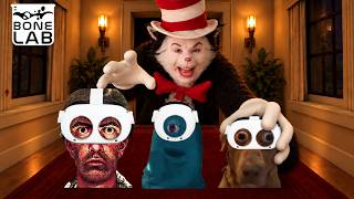 3 Idiots Survive The Cat In The Hat in VR...