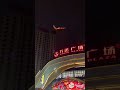 The Fantastic Phoenix Bird Is The Most Beautiful View ЁЯШН Shorts The Fantastic Phoenix Bird Is The Most Beautiful View ЁЯШН Shorts