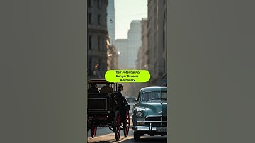 The First Ever Speeding Ticket #shortsvideo #facts #shortsfeed