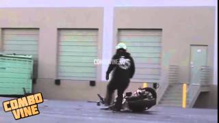 Combo Vine #865
