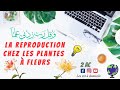 La reproduction chez les plantes  fleurs 2ac    