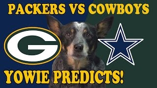 PACKERS vs COWBOYS - Dog Predicts Super Bowl Playoffs 2017
My dogs prediction for the Packers vs Cowboys Divisional round football game to be held on 1/15/17.
Yowie is 4 for 4 in her Wildcard Round prediction videos!
New Predictions will be posted on the Tuesday before each game!
The predictions provided in the following video are presented for entertainment purposes only, and should be taken as such. If you choose to use the information provided in this video for any purpose other than entertainment, you do so at your own risk. Yowie is a pretty smart animal, but any reasonable person can tell you,
you shouldnt take gambling advice from a dog...
I am in no way affiliated with the National Football League (NFL), or any of their respective teams or franchises. The content of this video has not been endorsed by the NFL, nor does it in any way reflect the opinions and/or positions of the NFL. All team names and logos are property and trademarks of their respective owners, and are used for identification purposes only.
Music:
Western Streets
Kevin MacLeod (incompetech.com)
Licensed under Creative Commons: By Attribution 3.0
http://creativecommons.org/licenses/by/3.0/ PACKERS vs COWBOYS - Dog Predicts Super Bowl Playoffs 2017