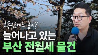 [급라이브] 부산 전월세 물건 늘어나고 있다!