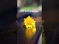 إ ل ى ر ب ه ا ن اظ ر ة ناصر القطامي 