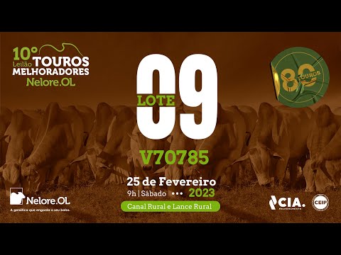 LOTE 09 V70785 -  - 10º LEILÃO - TOUROS MELHORADORES NELORE OL