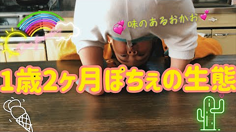 Kenちゃんねる Youtube