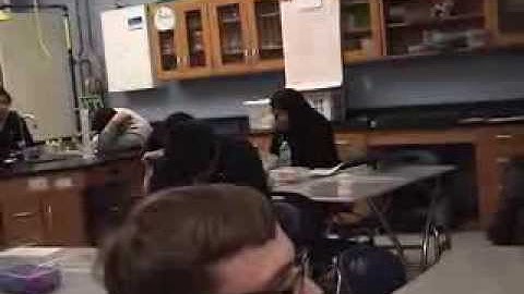 Observe, predict, communicate and explain.