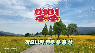 #영영(원곡 나훈아) A키 하모니카 연주 유 홍 상 황악하모니카예술단 소속