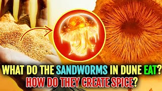How Sandworms Create Spice, Do They Need To Eat Humans And Other Living Things To Make Spice?
