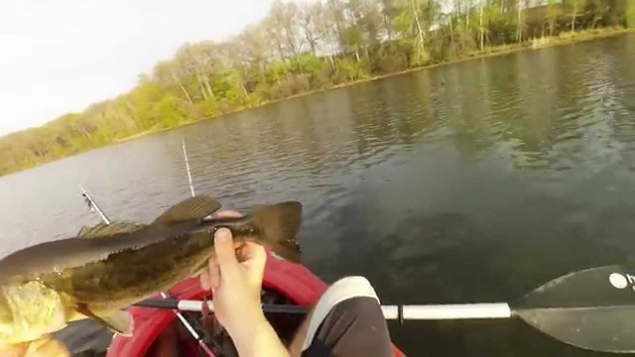 Flipping and Chatterbait Fishing for Spawning Bass YouTube