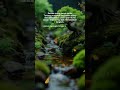 @ #masukberanda #fyp#shortsviral #quotes