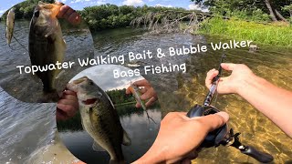 Topwater Walkingbait & Bubble Walker Bass Fishing | Summer Bass Fishing