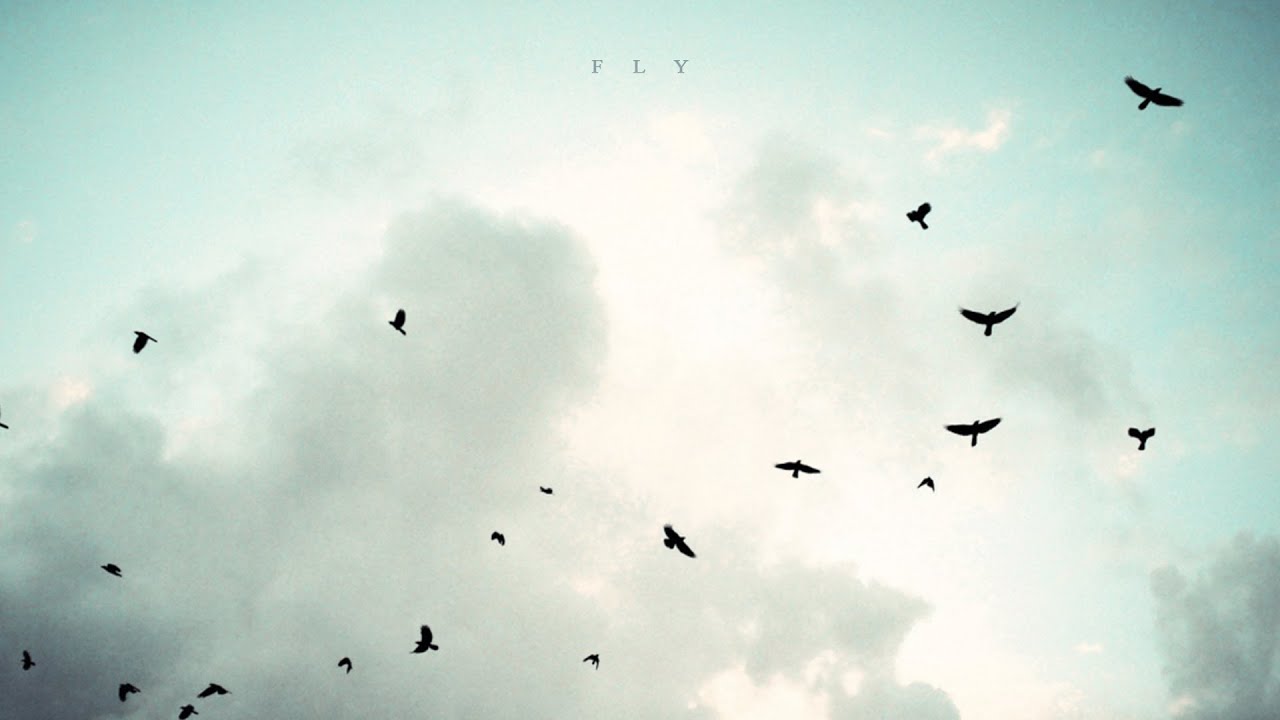 Guarda Mattia Cupelli - Rain Variation | Fly su YouTube Guarda Mattia Cupelli - Rain Variation | Fly su YouTube