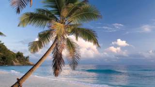 LOUNGE SUMMER  MOOD exotic worldwide nice beaches