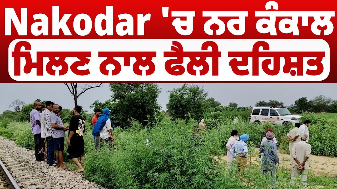 Nakodar 'ਚ ਨਰ ਕੰਕਾਲ ਮਿਲਣ ਨਾਲ ਫੈਲੀ ਦਹਿਸ਼ਤ, ਜਾਂਚ 'ਚ ਜੁਟੀ ਪੁਲਿਸ
