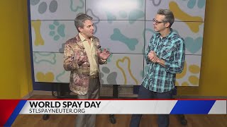 Learn about 'World Spay Day' with STL Spay Neuter