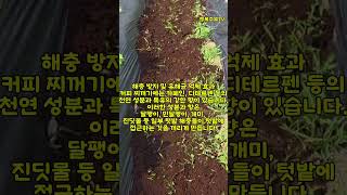 텃밭천연 무료퇴비!! 나만 몰랐나? #귀촌생활 #주말농장 #텃밭꿀팁 #커피찌꺼기