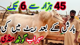 BHARISH K BAAD MANDI K RATE MAI KAMI | بارش کے بعد منڈی کے ریٹ میں کمی |July 16, 2021| Animal Market