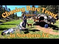 Rare Trout And A Funky Hotel - Wanderings In Northern Arizona