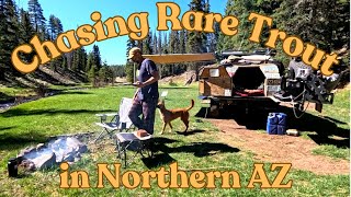 Rare Trout And A Funky Hotel  Wanderings In Northern Arizona