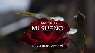 Video thumbnail of "MI SUEÑO, Bambuco de Luis Enrique Aragón. Interpreta: María Isabel Saavedra."