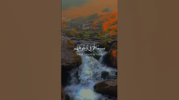 محمد رسول الله سورة الفتح الشيخ ياسر الدوسري 