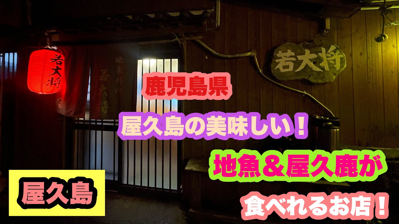 【せんべろ】鹿児島県・屋久島『若大将』地魚料理！屋久島のお酒！縄文杉を見た後はここ！とびうお絶品！
