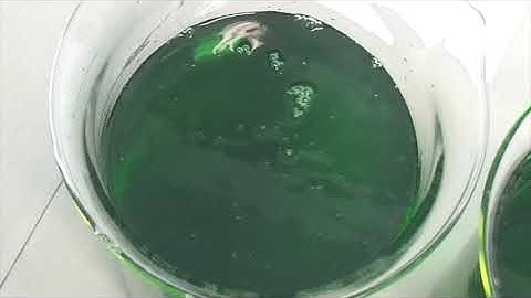 XiteBio® SoyRhizo® Physical Compatibility Test