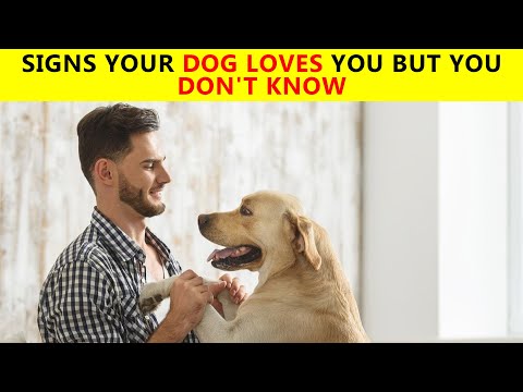10 Hidden Signs