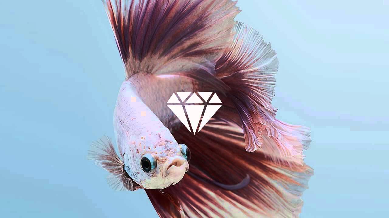 Watch Frames - Slow (Original Mix) on YouTube Watch Frames - Slow (Original Mix) on YouTube
