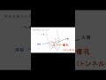 憩室炎放置すると　shorts 22