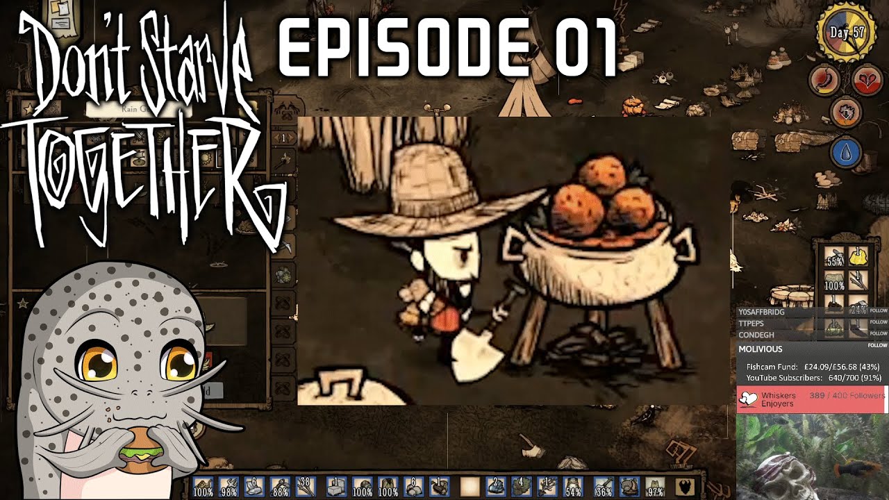 Learning Don't Starve Together! Part 1 The Meatball Man YouTube