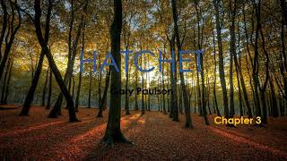 Hatchet Chapter 3