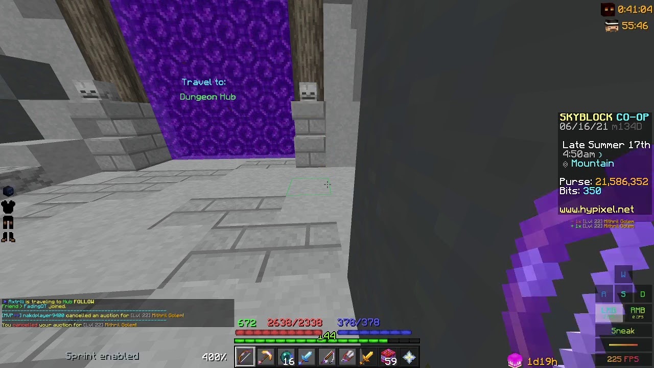 Hypixel Skyblock Dungeons - \