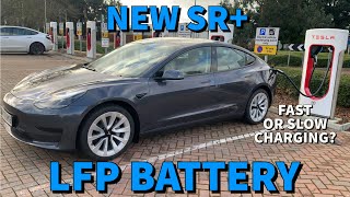 New Tesla Model 3 SR+ LFP battery in the UK. Charge to 100% daily now? Cold charge test.