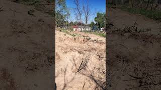 Day 15 of digging a hole in my backyard