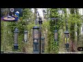 Live  pip daily bird chorus hummies finches grosbeaks cardinals jays woodies   live