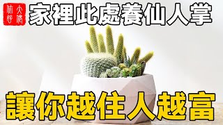 家裡此處養仙人掌，橫財不斷註定發，讓你越住人越富！你家有 ... 